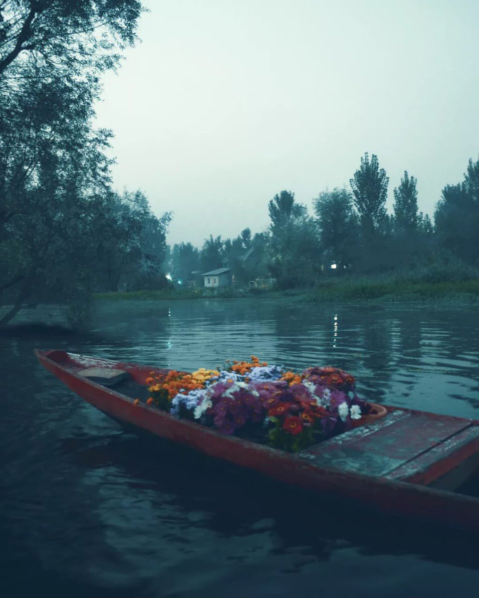furqaan_farooq's tweet photo. We shall meet again , in Srinagar.

-ASA https://t.co/y4rGIT26ax