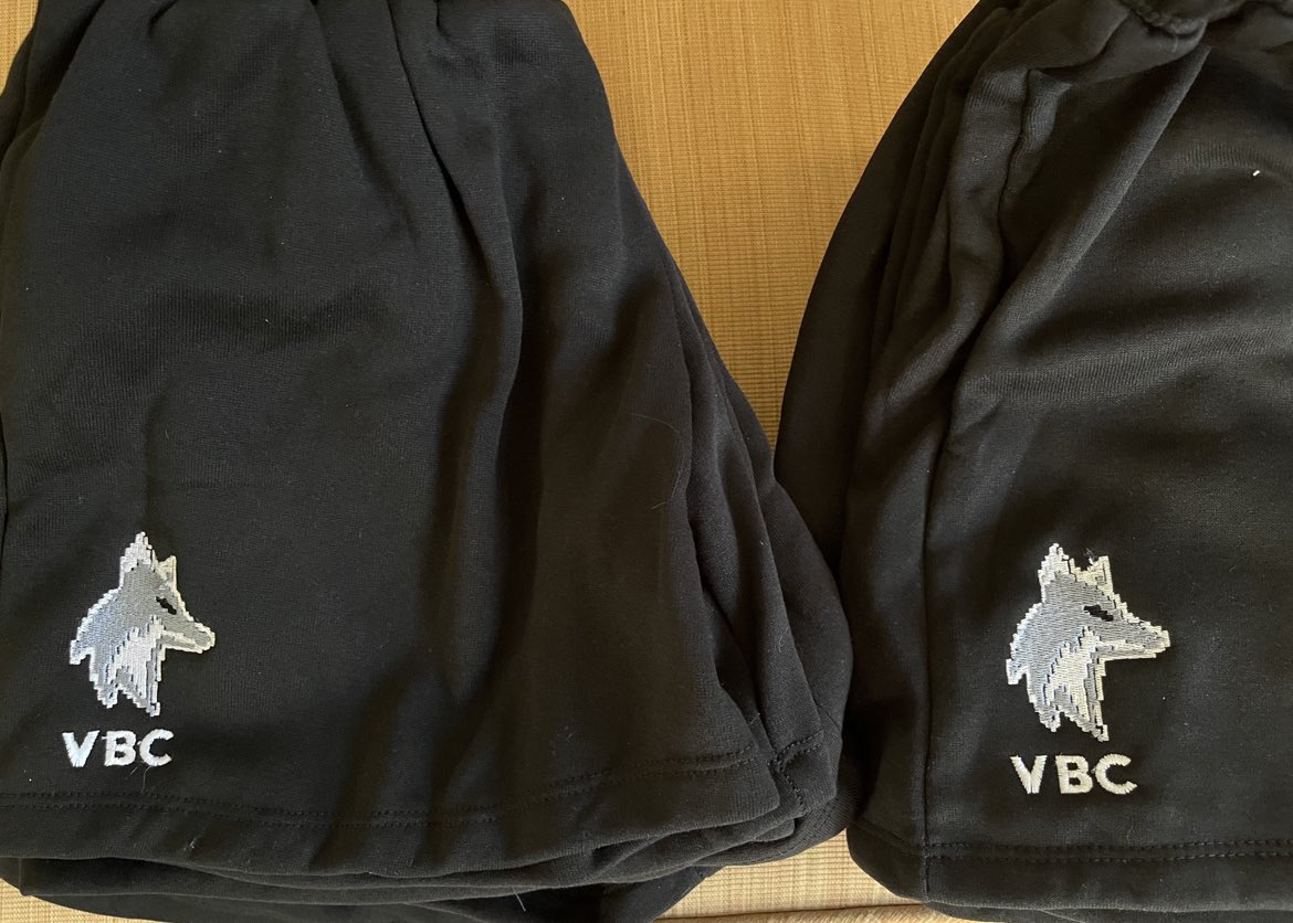 🌱 [#hanniegoupdates]

pt update