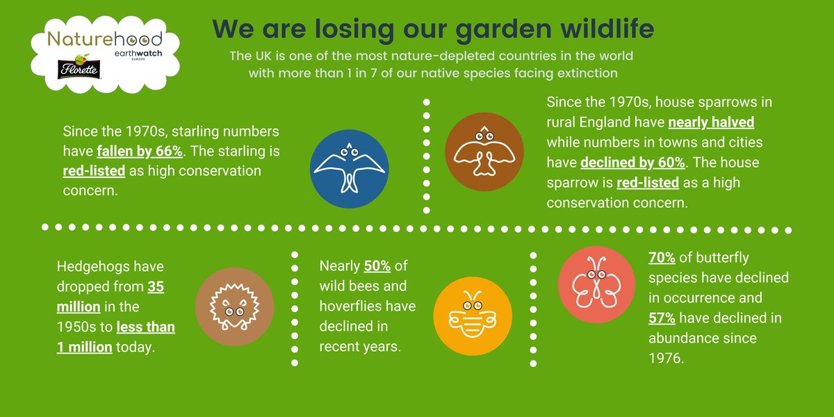 michaelastracha's tweet photo. 'Saving The World's Wildlife Begins At Home'. For #worldwildlifeday I've teamed up with Naturehood/@earthwatch_Eur &amp; @florettesalad to encourage people to help wildlife on their patch, often that means doing less! Check out https://t.co/C8QnrhtI0p  for more info #ad https://t.co/1DlEcEyu3g