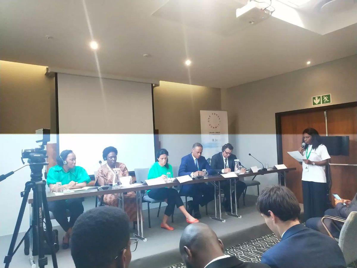 Dreams•Hub (梦想中心) tweet media