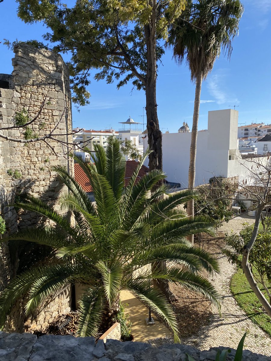 kees_hoek's tweet image. Tavira Portugal