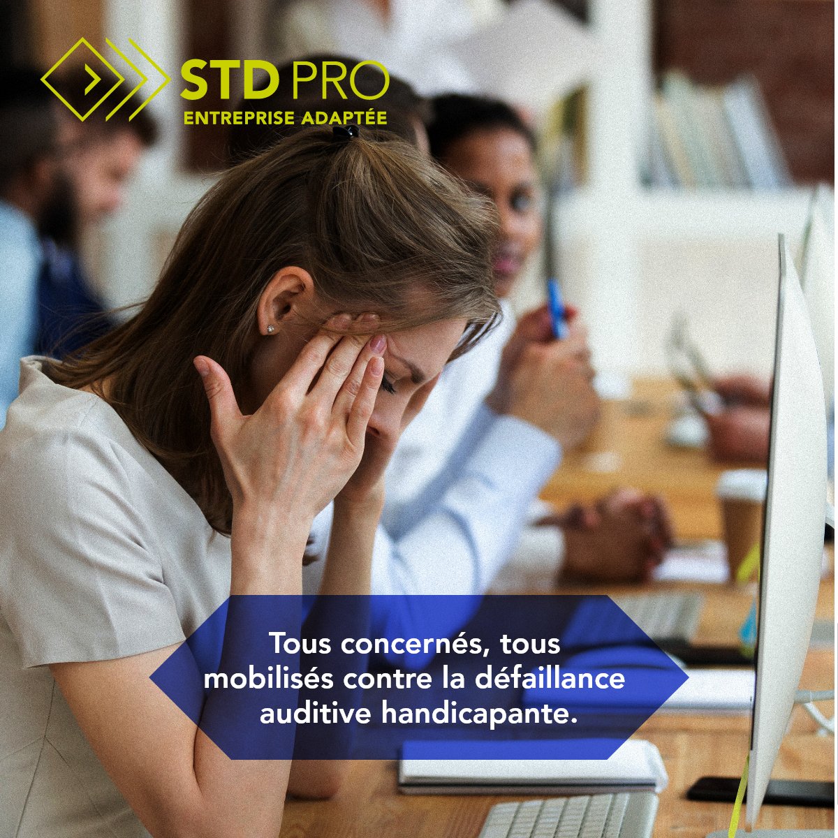 STD PRO tweet media