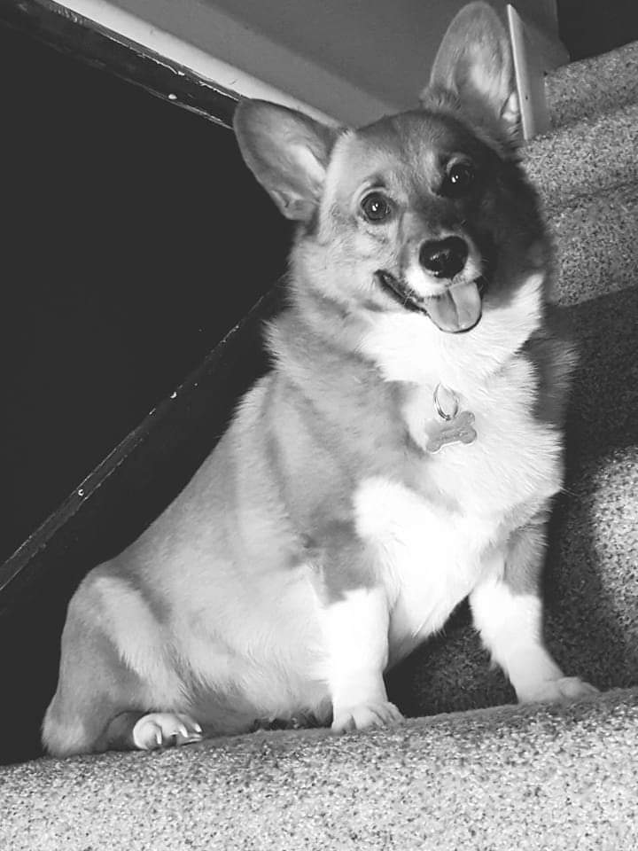 Thomas White tweet media