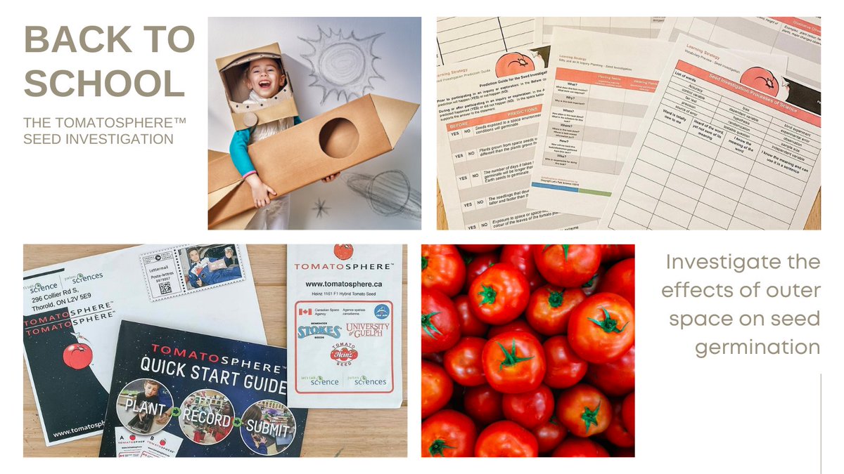 StokeSeeds's tweet photo. Ease the kids back into learning with @Tomatosphere interactive program! Suitable for Kindergarten - Grade 12 https://t.co/N52o4LoOYe
@UofGuelphOAC @LetsTalkScience
#stokeseeds #startwithstokes #backtoschool #schoolsback #tomatosphere #tomato #science #letstalkscience https://t.co/bcNKbJmQ4m
