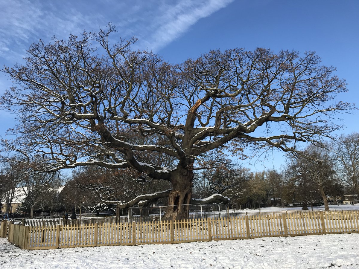 russell miller tweet media