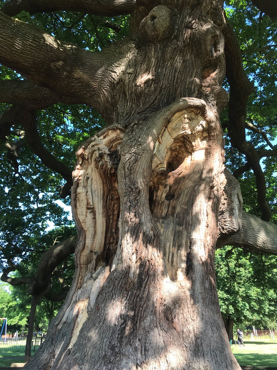 russell miller tweet media