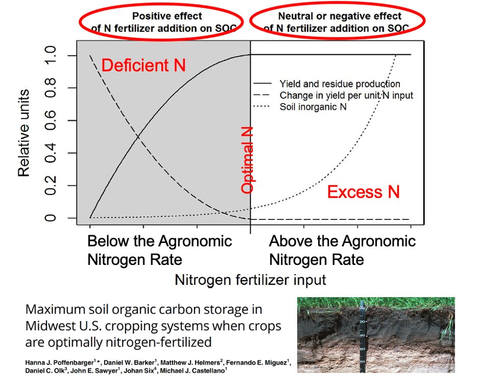RobSoil's tweet photo. “Right” #Nitrogen Rate is critical for building soil organic carbon (SOC)
@hpoffenb shows (~15yr study) insufficient N fertilization does NOT promote maximum SOC accumulation; excess N does not either. Max #SOC  when OPTIMAL N rate used. #4R wins again.
https://t.co/3tUex9vYZy https://t.co/GXsfjJwyw7