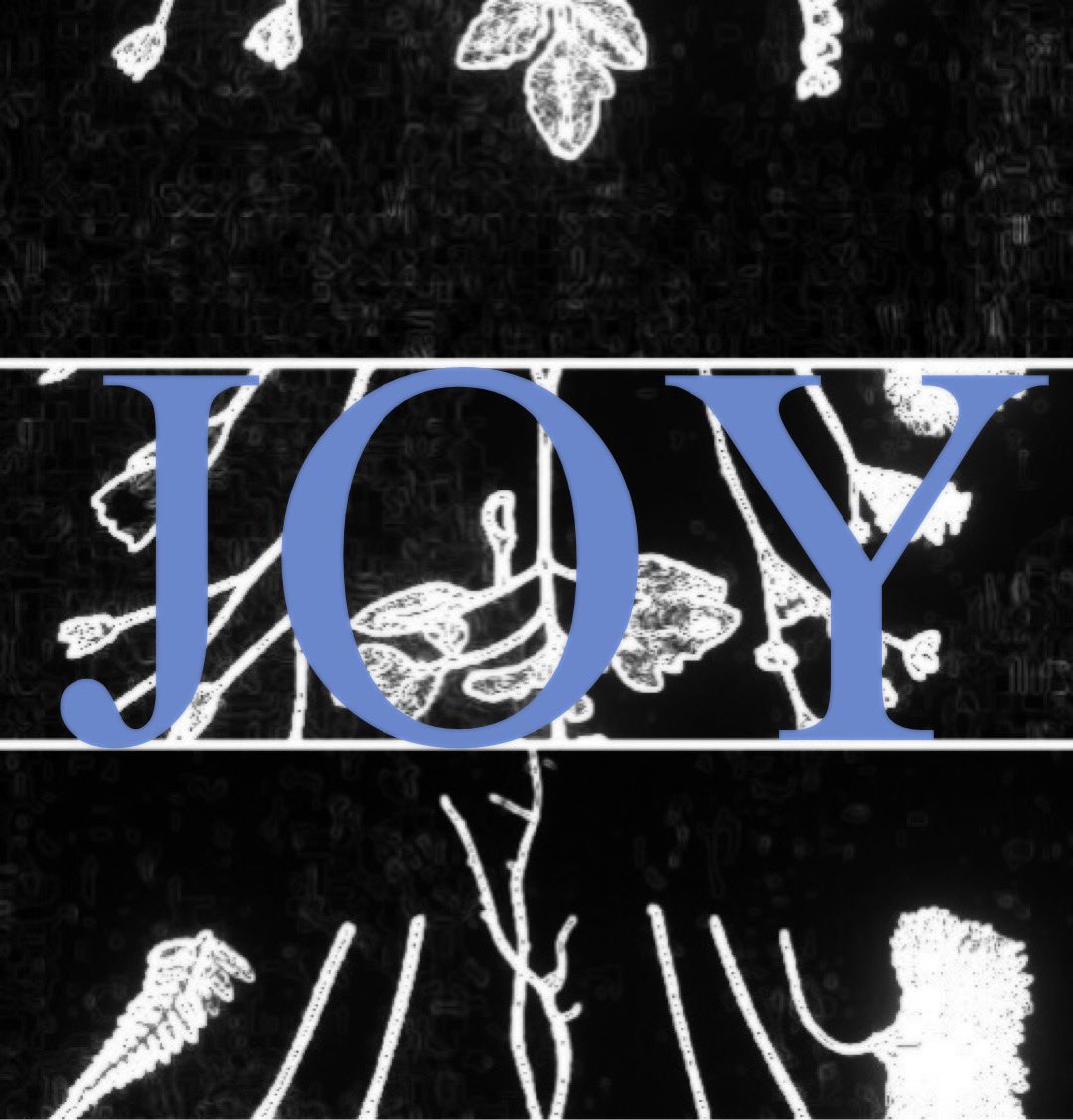 brotherwell tweet media