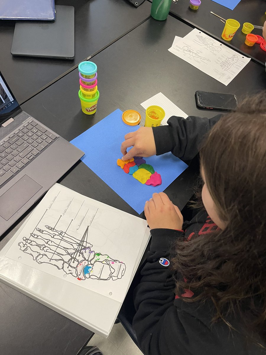 ReaganSportsMed's tweet photo. 3-D Play-Doh models in 2nd period Sports Med 2 today for hands-on review https://t.co/4C56436tL9