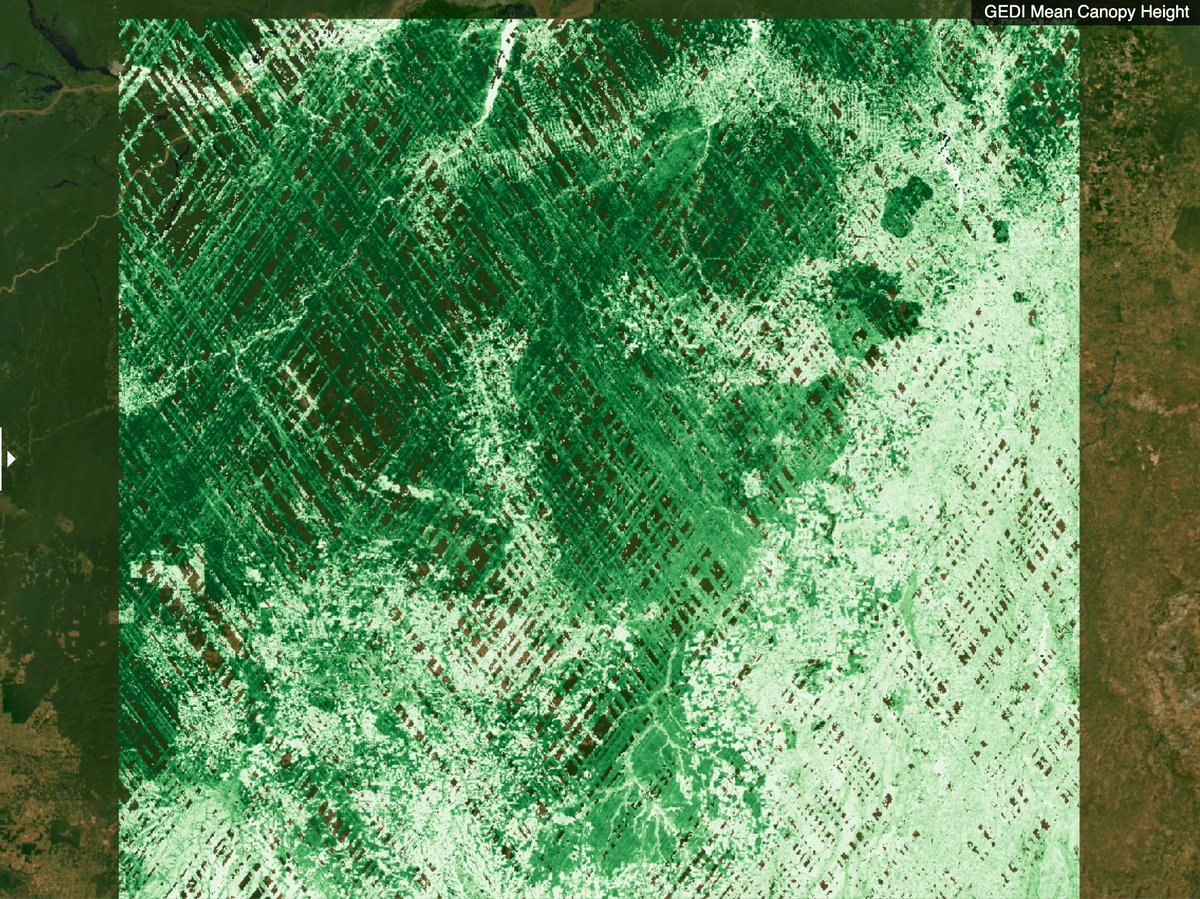 New dataset in OT: Global Ecosystem Dynamics Investigation (#GEDI #lidar) Level 3 gridded mean ground elevation &amp; mean canopy height! GEDI is onboard the International Space Station, providing  coverage from +/-52 latitude &amp; nearly global canopy height: opentopography.org/news/gedi-l3-g…