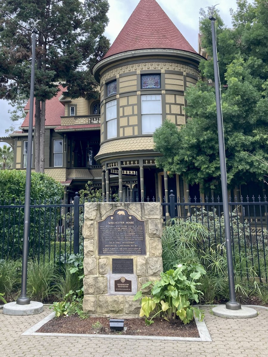 Lisa Haigh tweet media