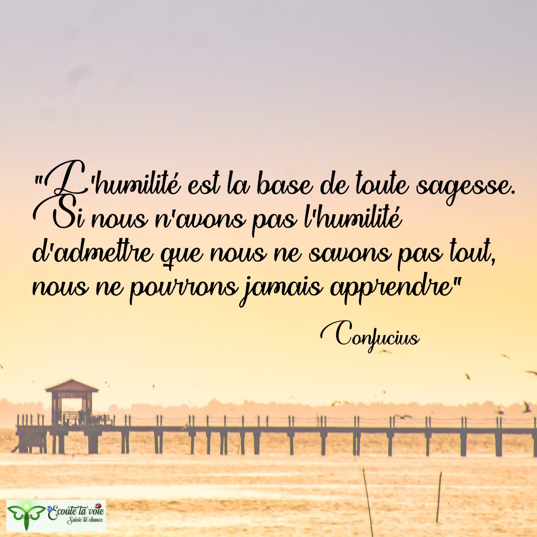 Bonjour

Admettre qu'on ne sait pas tout, ne fait pas de nous un ignorant mais un sage

Je t'accompagne dans l'apprentissage de toi même. 

Bonne journée

#therapeuteholistique  #coachdevie #confianceensoi #croisentoi #ecoutetavoie #sagesse #humilité #apprentissagedesoi