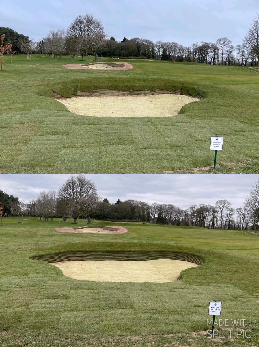 Darren Anderson MG tweet media