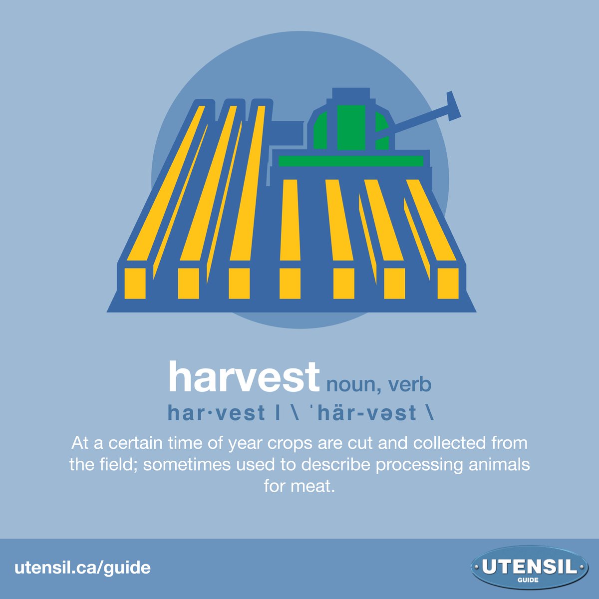 HARVEST (noun, verb) At a certain time of year crops are cut and collected from the field; sometimes used to describe the processing of animals for meat. #UtensilGuide #CdnAg #CdnFood Learn more food & farming terms at: utensil.ca/guide
