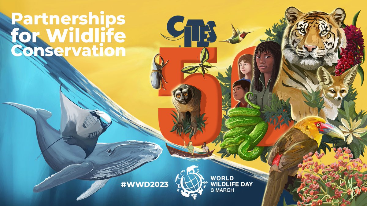 Today is #WorldWildlifeDay, proclaimed in 2013 bit.ly/3xlGFPT. #WWD2023 celebrates partnerships for wildlife conservation, honouring those who make a difference. In particular, the @UN recognizes the important work of @CITES in its 50th year bit.ly/3xkFoZp!