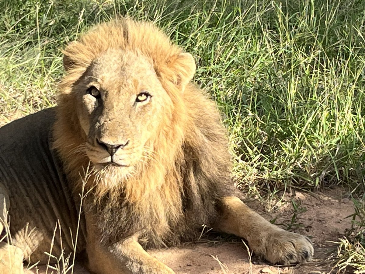 DocThomson's tweet image. Sad to say goodbye to this. I’m all out of superlatives for South Africa. Thanks @mahlatini for best holiday ever