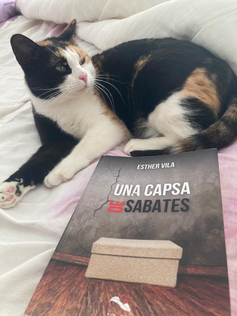 Esther Vila Planas tweet media