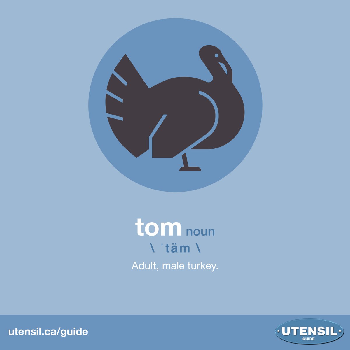 TOM (noun) Adult, male turkey. #UtensilGuide #CdnAg #CdnFood Learn more food & farming terms at: utensil.ca/guide