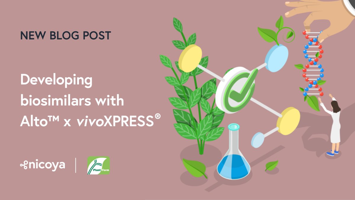 Nicoya (@nicoya_life) on Twitter photo In our latest blog post, we examine the trends shaping the #biosimilars industry & discuss the impact of innovative techs on biosimilar development. Learn how <a href="/PlantFormCorp/">PlantForm Corp.</a>'s vivoXPRESS® & Alto Digital #SPR can streamline biosimilar production.
Link: nicoyalife.com/blog/character… In our latest blog post, we examine the trends shaping the #biosimilars industry & discuss the impact of innovative techs on biosimilar development. Learn how <a href="/PlantFormCorp/">PlantForm Corp.</a>'s vivoXPRESS® & Alto Digital #SPR can streamline biosimilar production.
Link: nicoyalife.com/blog/character…