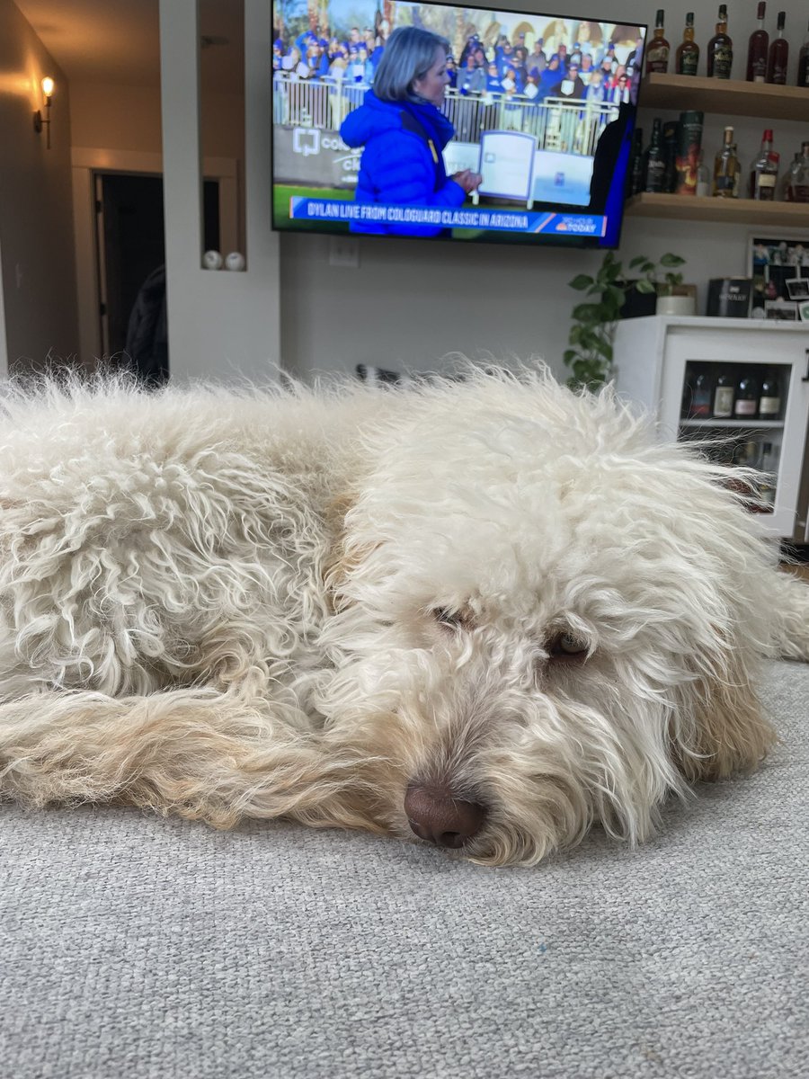 Natalie, MS, LPC tweet media