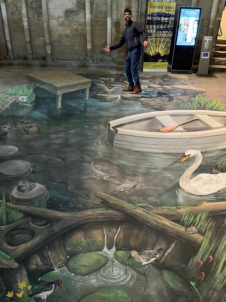 This weekend, the fabulous @WWTworldwide #WorldWetlandsDay mural is @Ely_Cathedral highlighting what #WetlandsCan do for the planet, nature and us 🌍

Find out more: wwt.org.uk/world-wetlands…