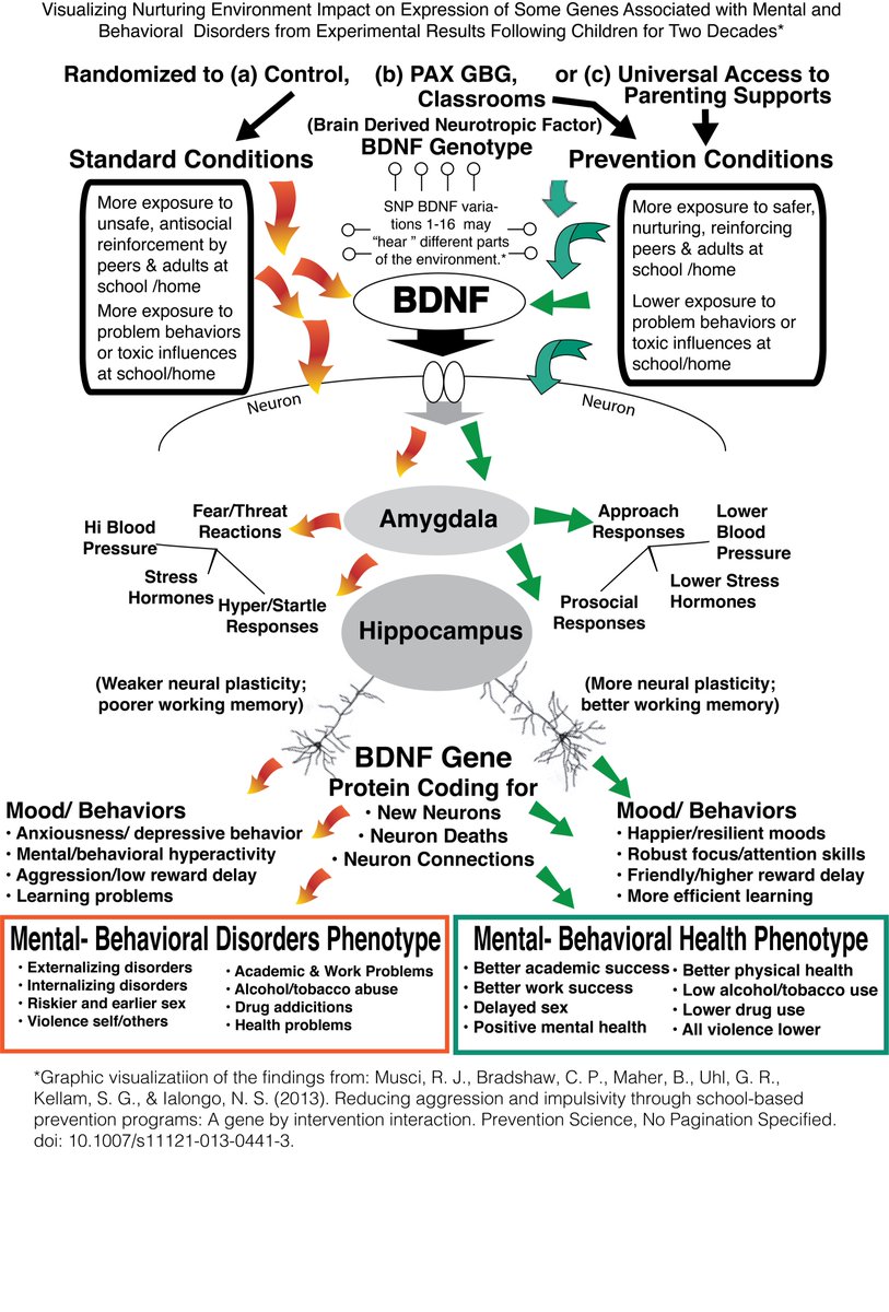 A few years ago, my colleagues at Johns Hopkins Center for Prevention &amp; Early Intervention published an extraordinary study showing that our Hopkins Good Behavior Game (aka, PAX GBG) induced protective BDNF gene expression with life-time benefits.   BDNF is often a drug target.