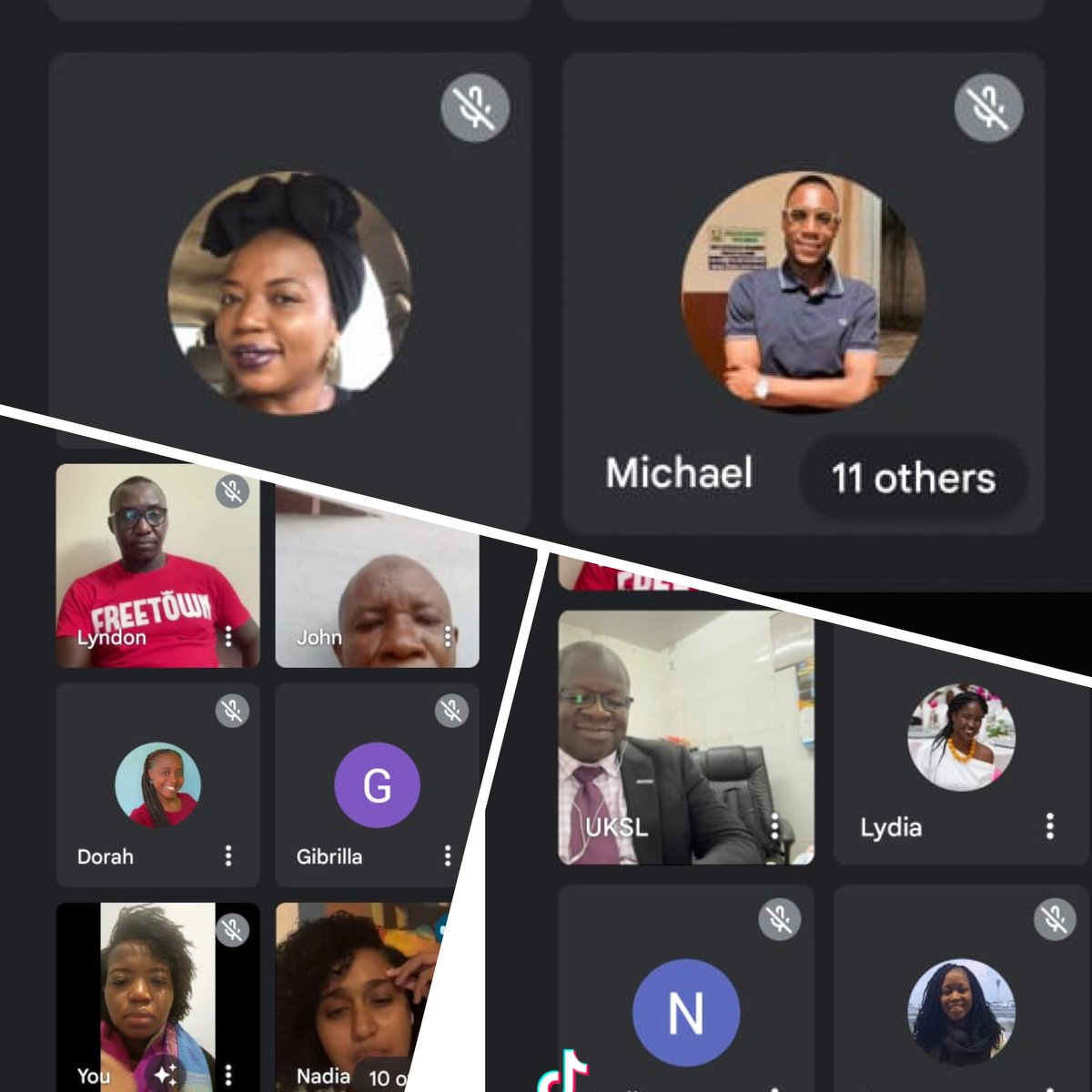 Chevening Alumni Association Sierra Leone held a webinar for shortlisted candidates for 2023. We are committed and determined to give back, raise the brand and advocate for increased quota for SL.