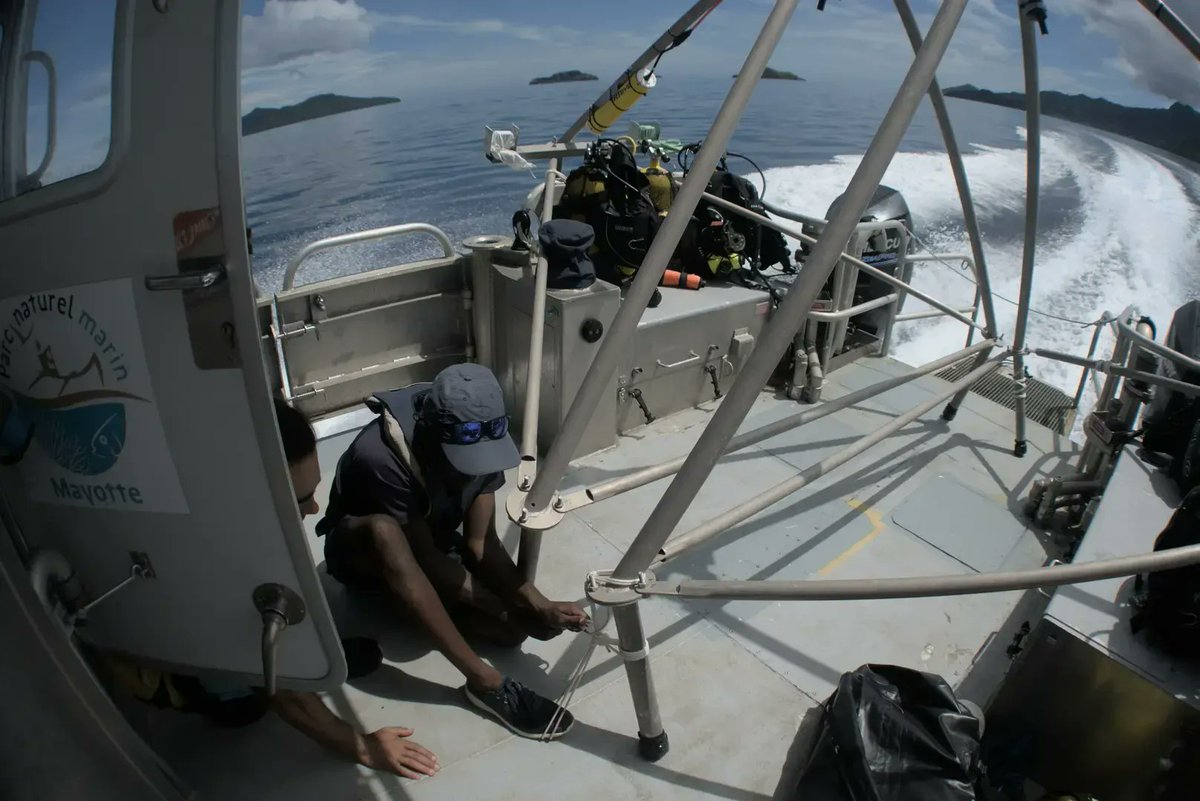 🪸Field experiments on coral reefs🪸

First mission of 2023 to record the soundscapes of #coralreefs around the beautiful 🏝️ of Mayotte, in the Indian Ocean 🇾🇹 🇫🇷

Would you listen to coral reefs? 🪸👂

A 🧵👇 (1/4)

#soundsofcorals
<a href="/mayottela1ere/">Mayotte la 1ère</a> <a href="/OFBiodiversite/">Office français de la biodiversité</a> <a href="/reunionla1ere/">Réunion la 1ère</a>