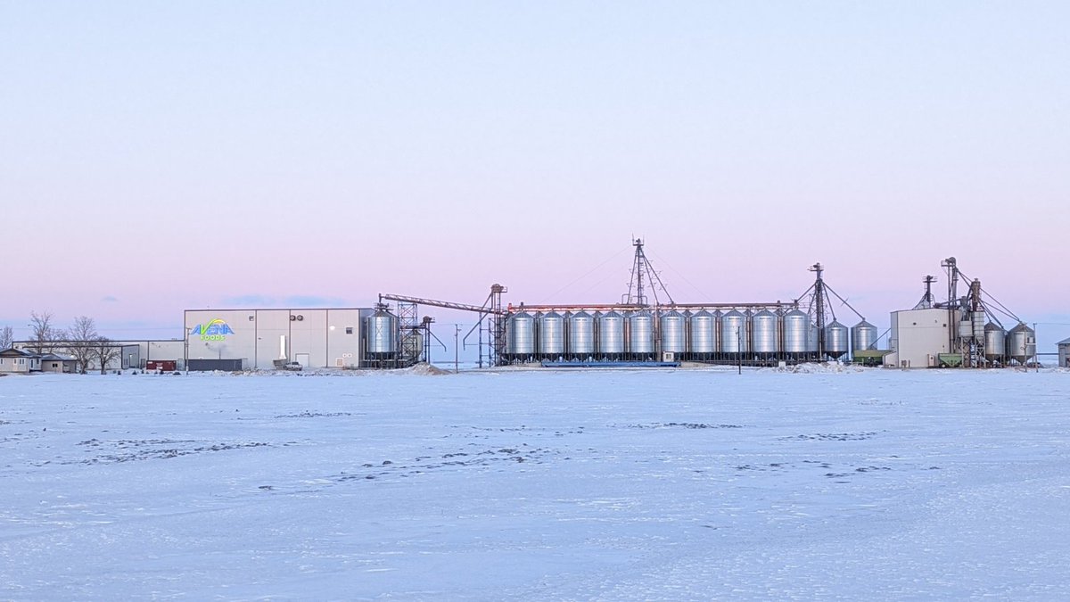 AvenaFoods's tweet photo. Avena Commissions New Purity Protocol Oat Mill  - https://t.co/G1CsbeR89x https://t.co/EKmLTrAMee