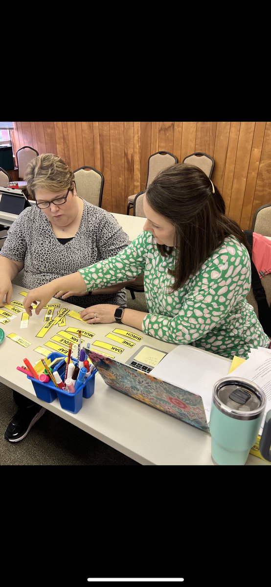 CNBH3's tweet photo. SLP Collaborative brings so much meaning to our schools and students. Semantics matters. #msglrs #GRESA #SLPsRock https://t.co/p5MrkZJrYv