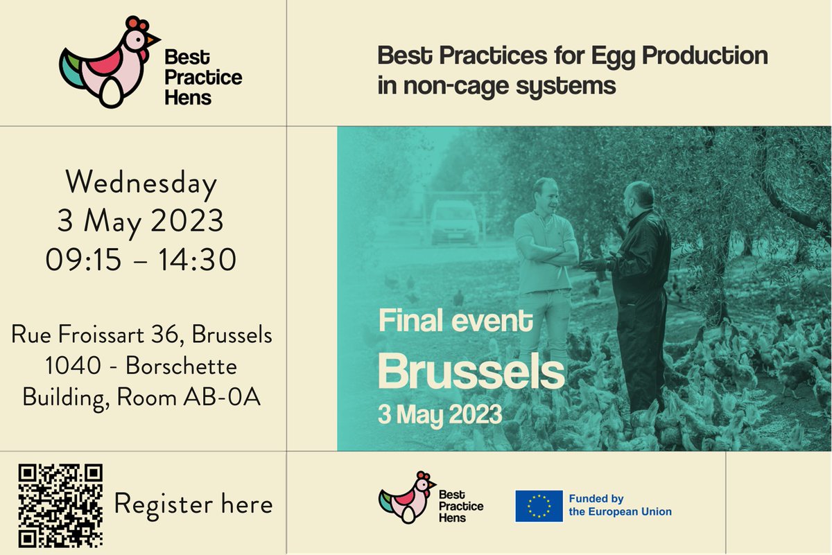 Best Practice Hens tweet media