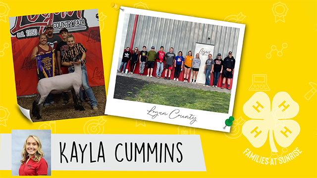 SunriseCoopOH's tweet photo. Former @ohio4h member, Kayla Cummins, enjoyed her time in #4H showing lambs at the Logan County Fair. She was a 9 year member of the Miami Valley Producers 4-H Club.
#Ohio4HWeek #YouthInAg #Ohio4H
https://t.co/wTg6TdV1ww https://t.co/3Y5BCNNzhF