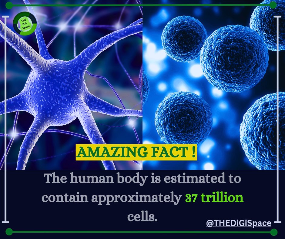 TheDigiSpace369's tweet image. For more 🙂 👇👇
facebook.com/profile.php?id…
For Videos 🙂 👇👇
youtube.com/channel/UCdNM5…

#BodyFact #CellCount #TrillionCells #HumanBodyScience #BodyComplexity #HealthyCells #BiologyWonders #BodyStructure #CellularMiracle #HealthAndScience