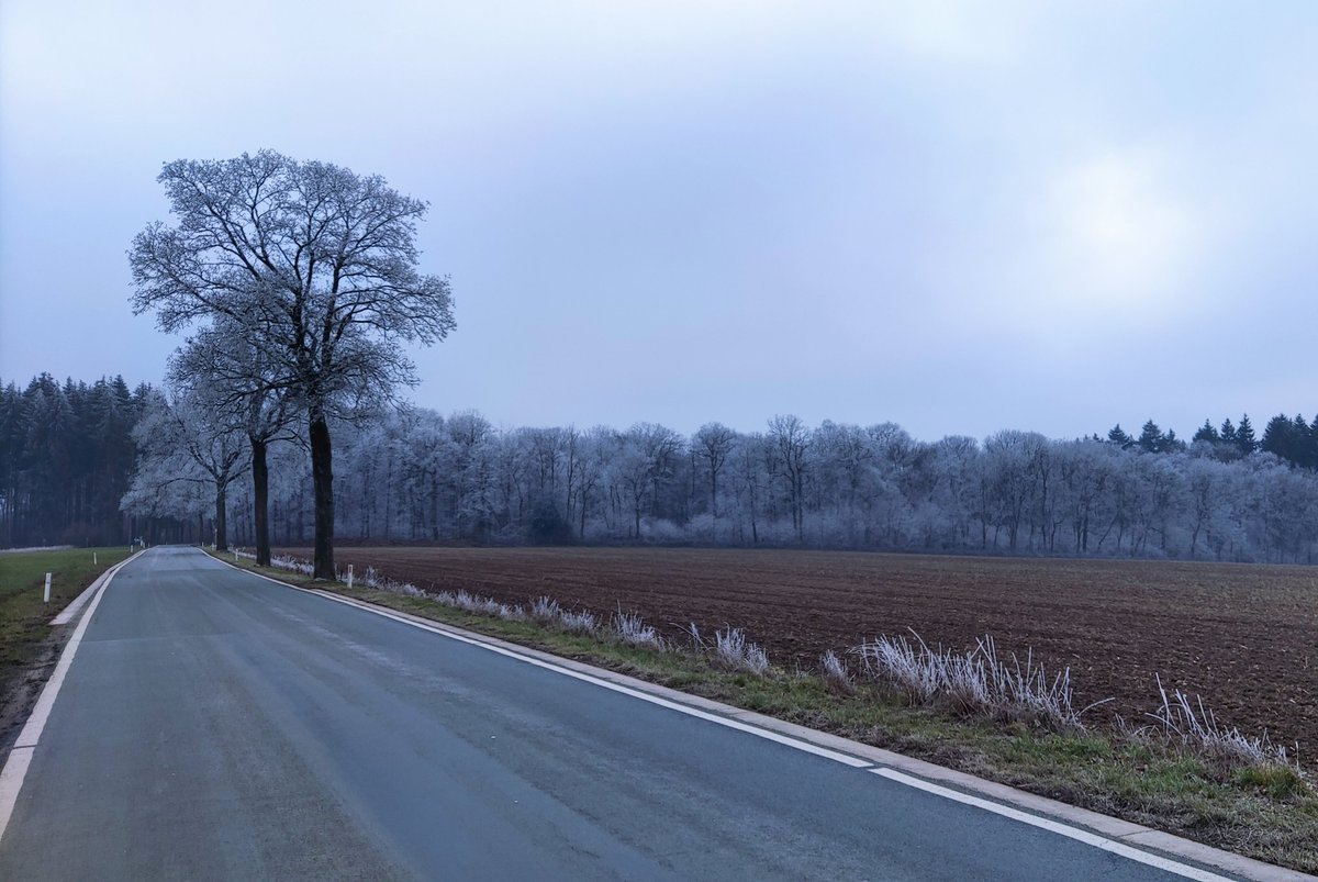 EmilieMontreal's tweet photo. - Condroz givré -
Rester au chaud ou sortir bien équipé pour en profiter ? 🙂
Bon week-end ❄️
#naturelovers #wallonienature #condroz #visitwallonia #lavieestbelge en #walloniecherie 🇧🇪🥰 https://t.co/8oi3P66C9I