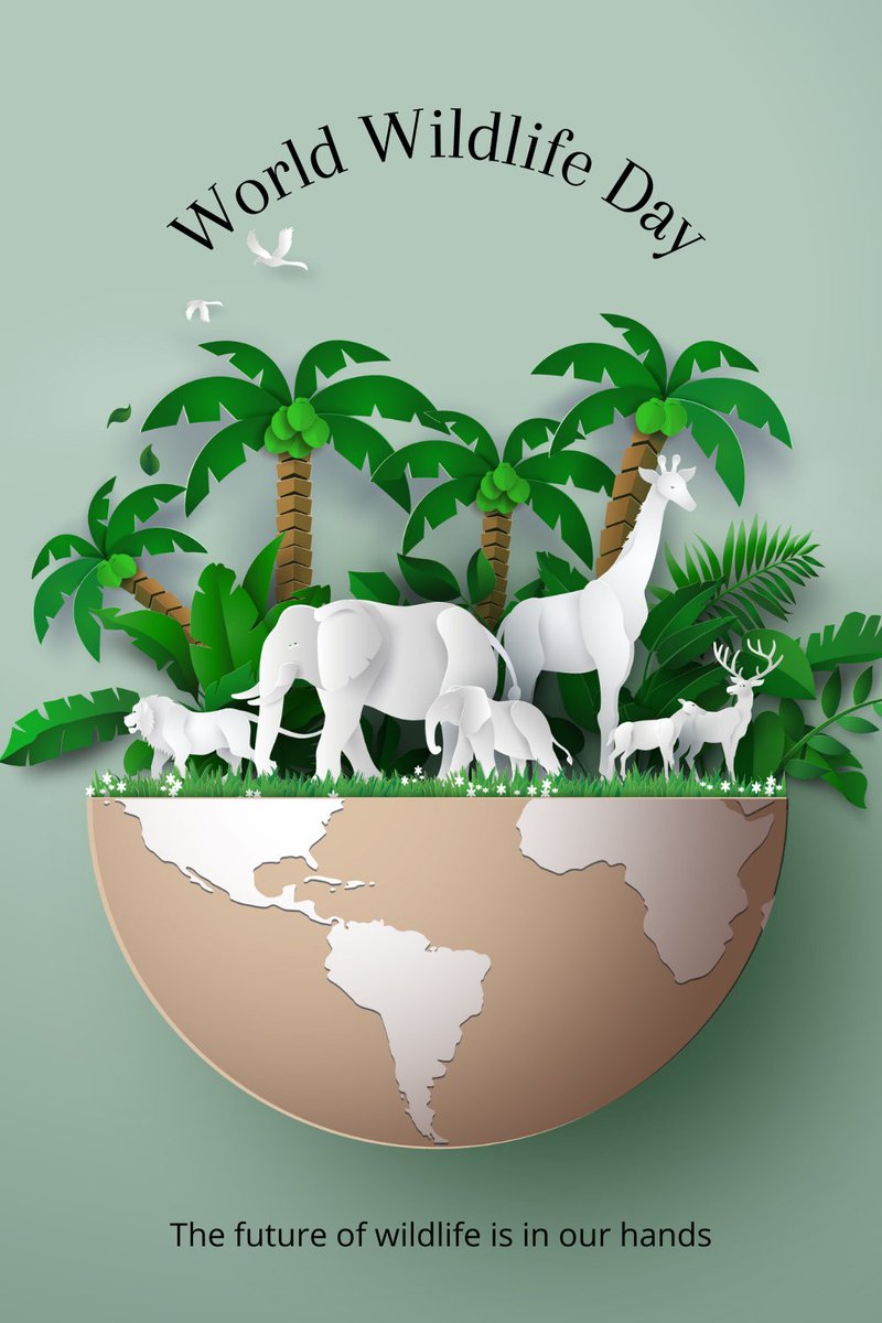 CreativeMHealth's tweet image. ... I sometimes wonder, would we care more about this planet if we could just pause to appreciate it every now and then?  Take this moment with me and just be where you are, right now, right here, in all its glory and all its faults 🌏
creativementalhealth.org.uk