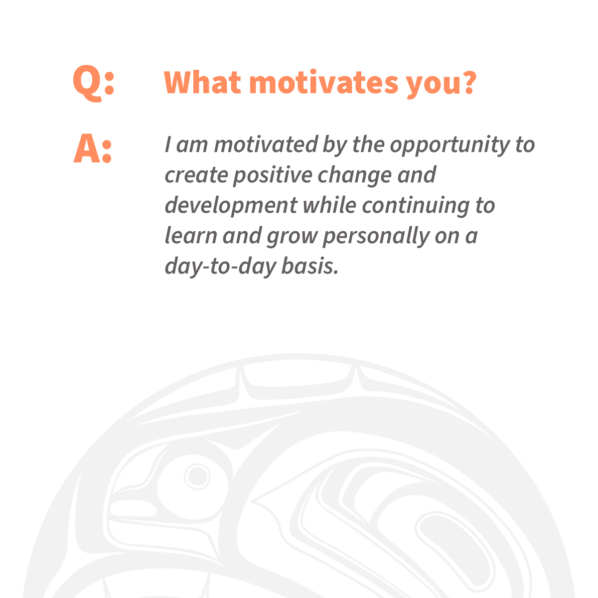 Castlemain tweet media