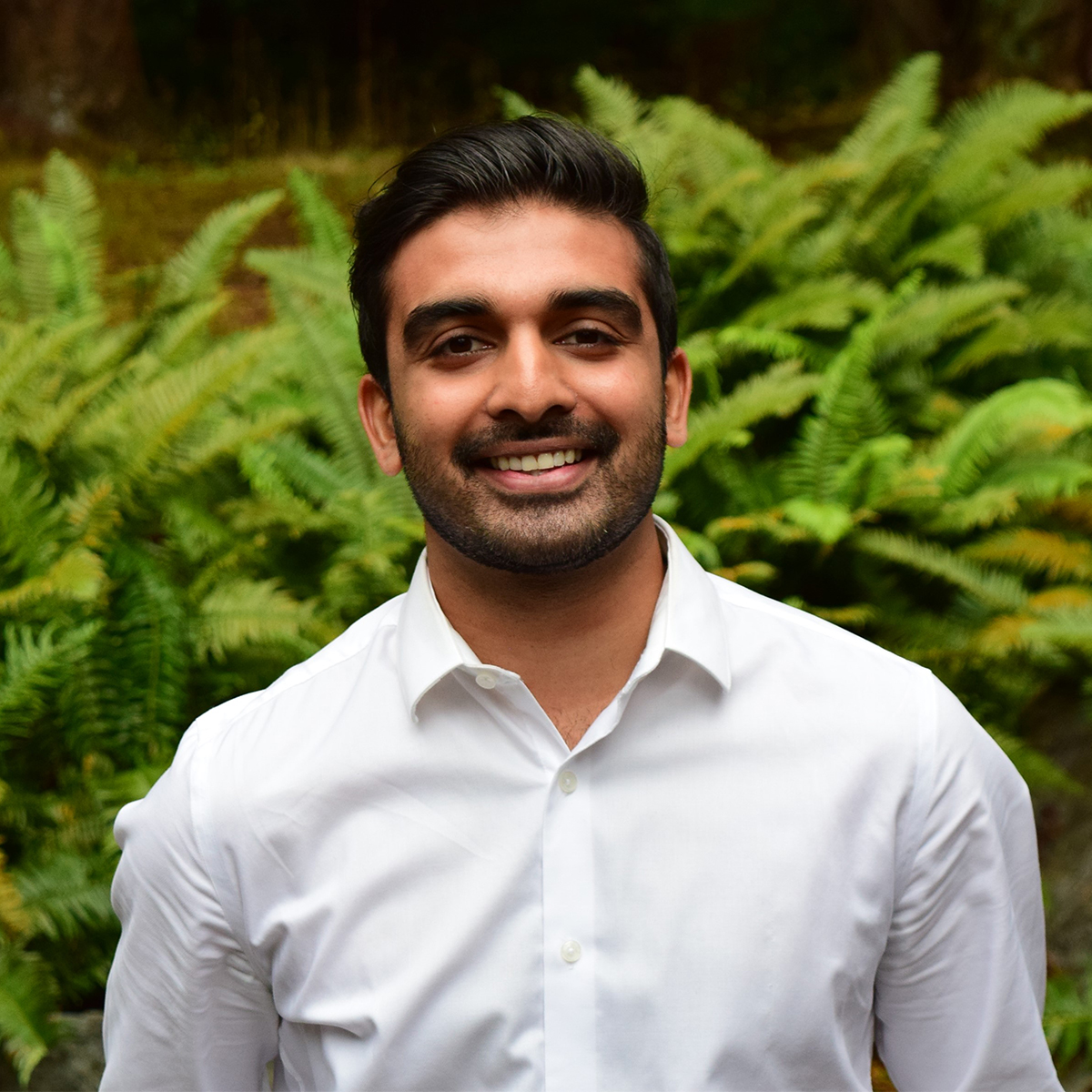 Castlemain tweet media