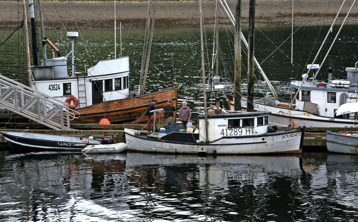 International Institute of Fisheries Econ & Trade tweet media