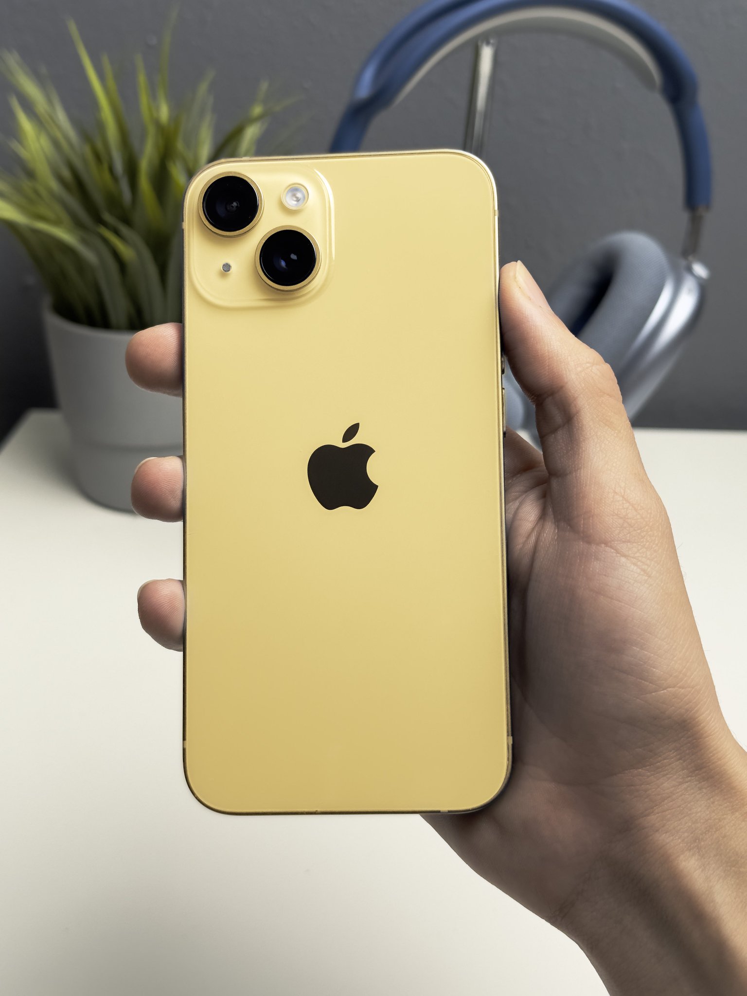 Apple Hub on Twitter "Apple will launch a Yellow iPhone 14 and iPhone