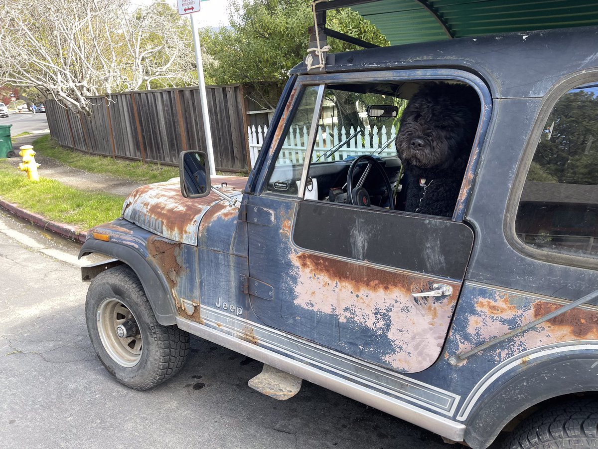 adep's tweet image. Bolinas.