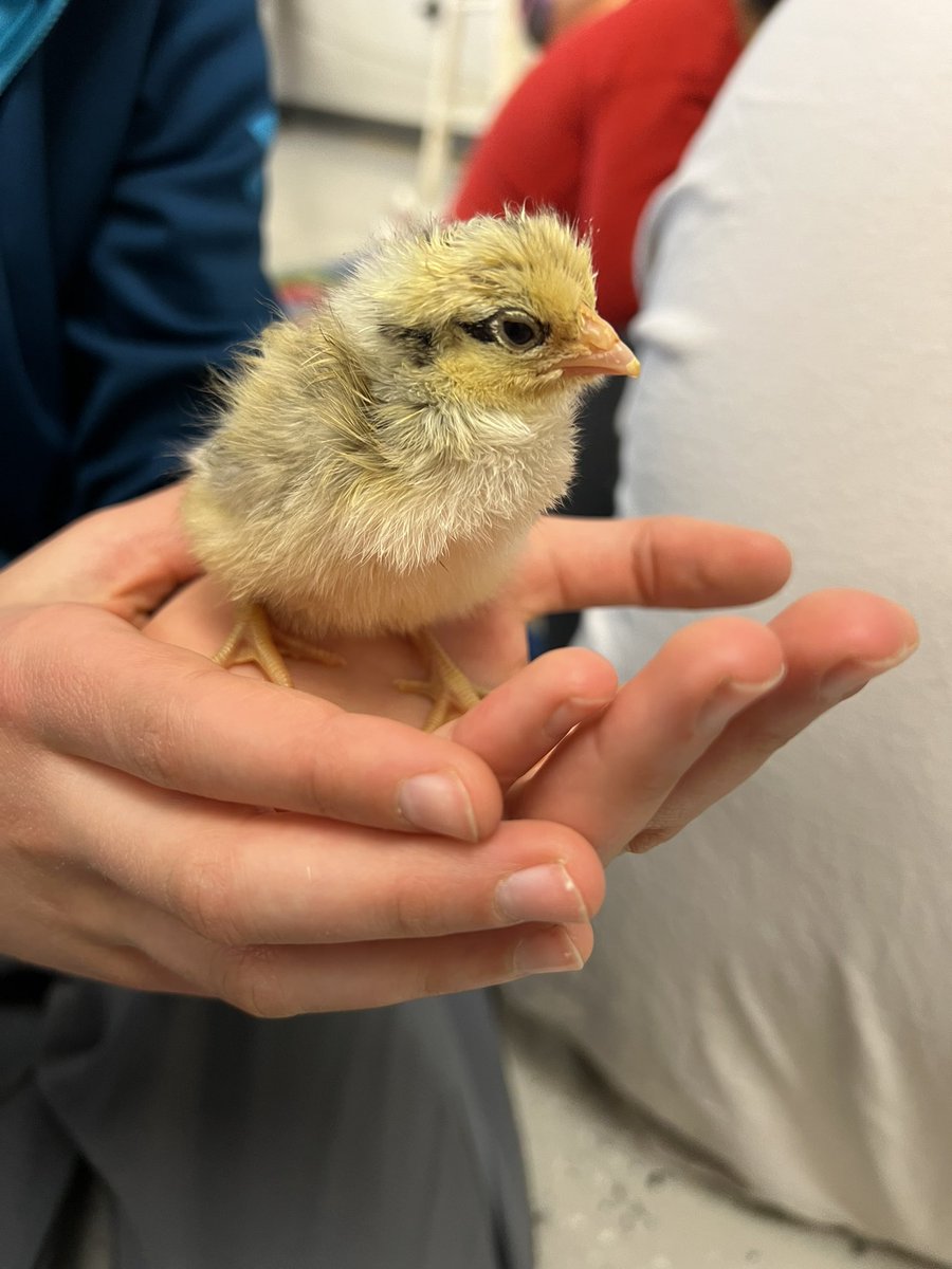 Jessica McQuillan tweet media