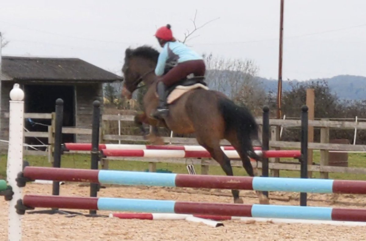 Fun before work this morning with Leo and Edith feeling fab