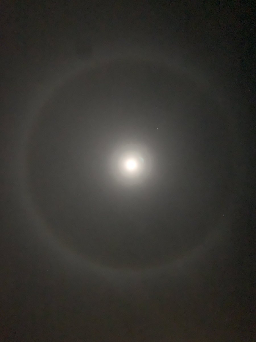 José Domingo Muñoz (@pledin_jd) on Twitter photo 