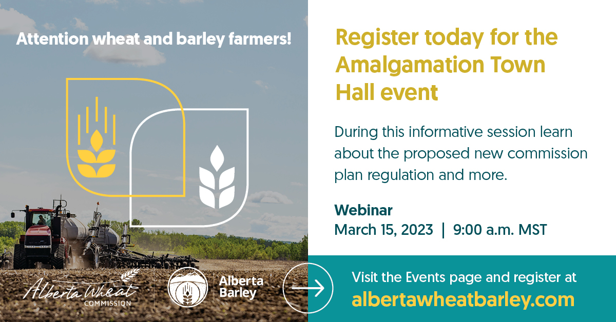 Alberta Grains tweet media