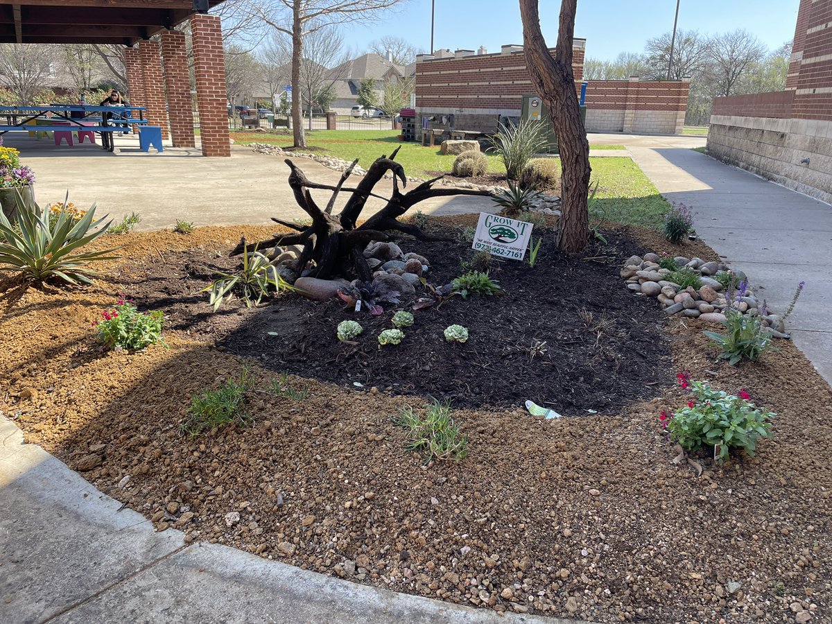 Shop <a href="/GrowItDesigns/">Grow It Land Designs</a> to find these gorgeous spring plants @DCEtrailblazers