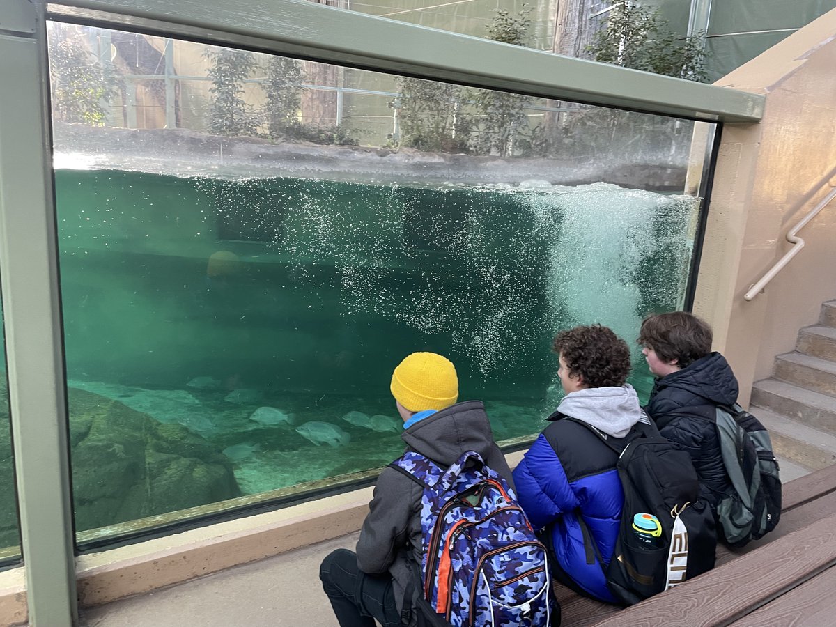 Nickle School tweet media