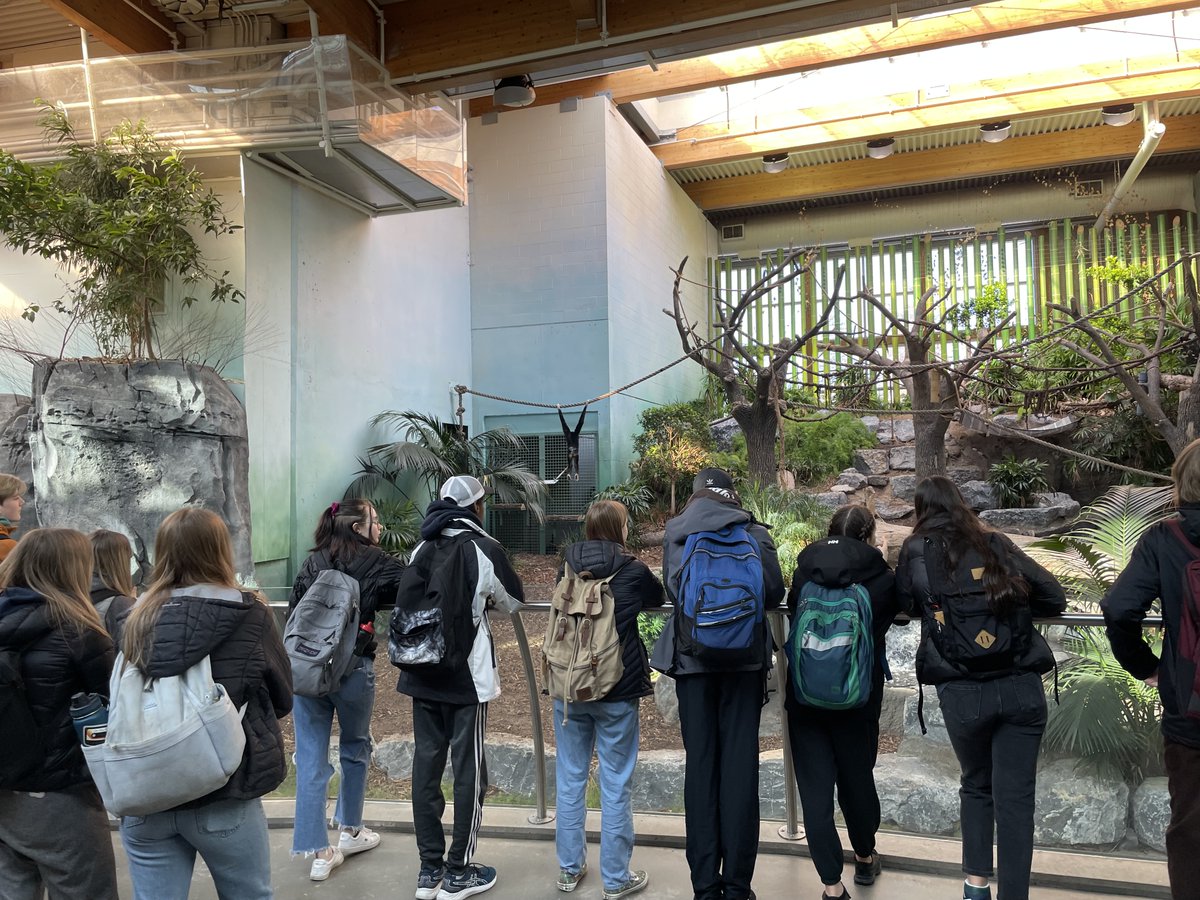 Nickle School (@nicklecbe) on Twitter photo Grade 9s at the zoo this week learning about Biodiversity. The baby gorilla was a favourite, as was Cornelius the corn snake! <a href="/calgaryzoo/">Calgary Zoo</a> <a href="/NickleParents/">Nickle School Parents</a> Grade 9s at the zoo this week learning about Biodiversity. The baby gorilla was a favourite, as was Cornelius the corn snake! <a href="/calgaryzoo/">Calgary Zoo</a> <a href="/NickleParents/">Nickle School Parents</a>