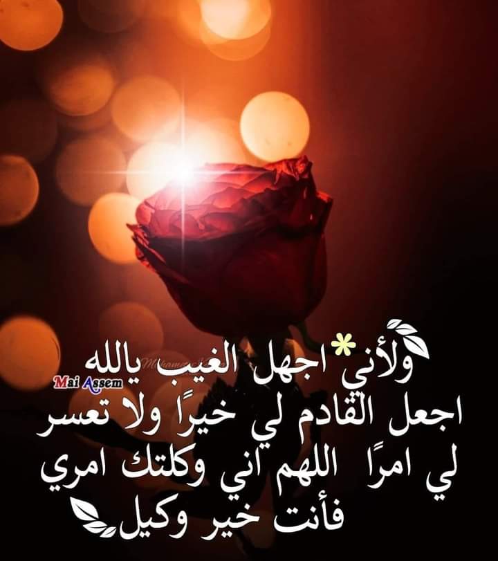 ياسين ياسين tweet media