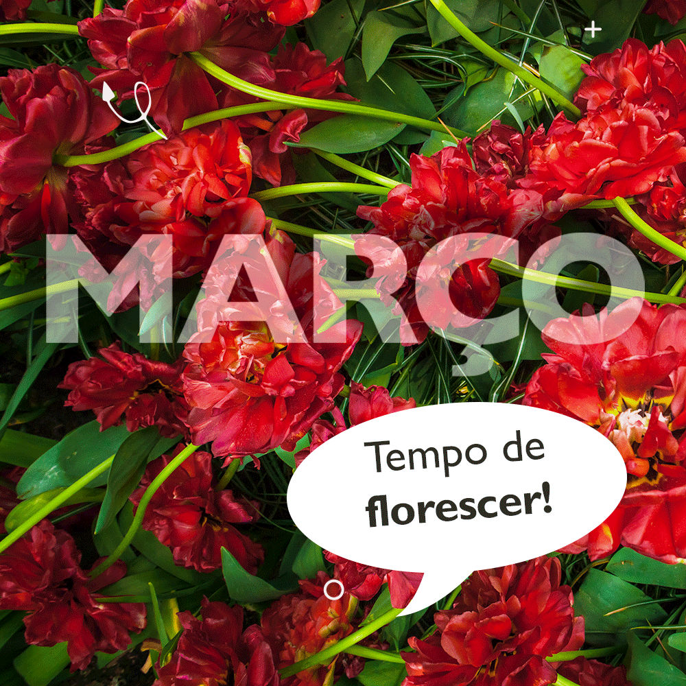 precoforte's tweet photo. Março é mês de florescer! Novidades, expectativas, e, no campo dos negócios, muitas oportunidades!

#vendamais #sebrae #sindilojas #empreendedorismo #precoforte #empreendedor #microempresas #pequenasempresas https://t.co/pFmEa83q1r