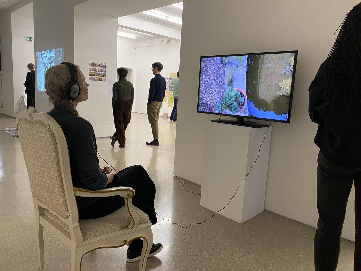 Haya Sheffer tweet media